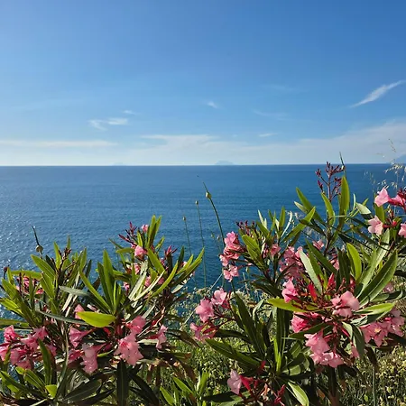 Апартаменты Casa Vacanze-halivita